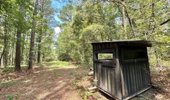 0 Champion Hill Rd, Bolton, MS 39041