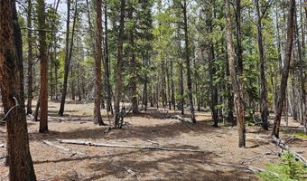 700 Looney Ln Lot 0, Alma, CO 80420