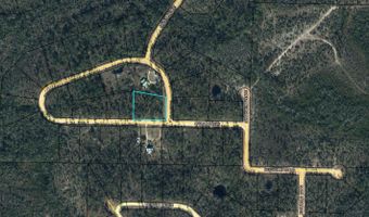 Arpana Circle lot # 1, Alford, FL 32420