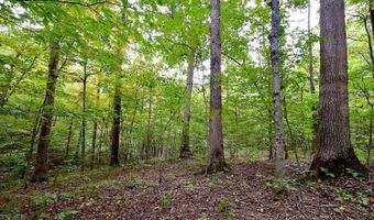 State Route 550, Amesville, OH 45711
