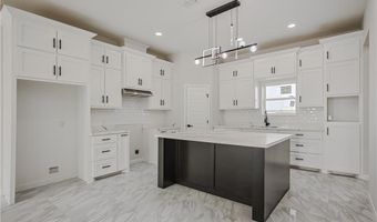 1314 Apache Trl, Alamo, TX 78516