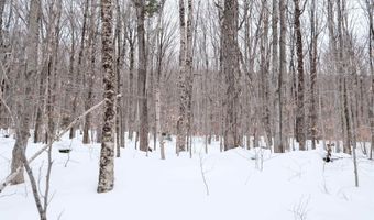 Markham Mountain Road, Andover, VT 05143
