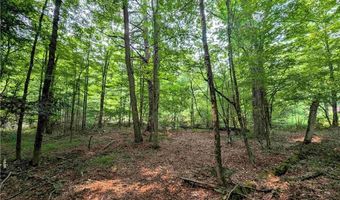 7581 Bully Hill Rd, Almond, NY 14804