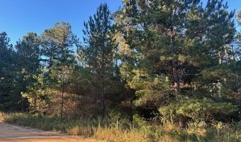 Alapaha River Drive, Alapaha, GA 31622