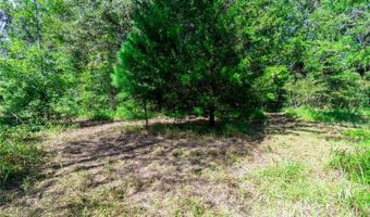 5301 NW COUNTY ROAD 235, Alachua, FL 32615