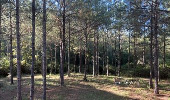 259 Forest Lake Rd, Beaumont, MS 39423