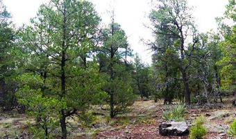 Blue water, Bluewater, NM 87005