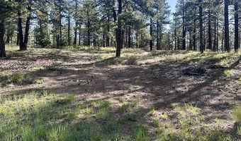 782 Hawks Meadow Dr, Bayfield, CO 81122