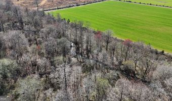 01 Bar M Farm, Andalusia, AL 36421