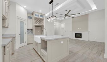 1007 Broken Arrow Dr, Alamo, TX 78516