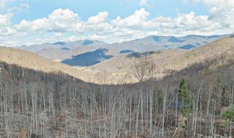 140 Wild Mountain Ln, Barnardsville, NC 28709