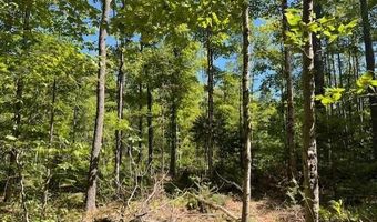 Sawyer Notch Road lot 045, Andover, ME 04216