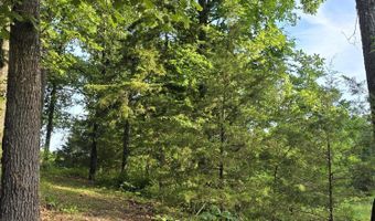 7011 County Road 429, Ava, MO 65608