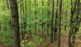 536 COUNTY ROAD 3902, Arley, AL 35541