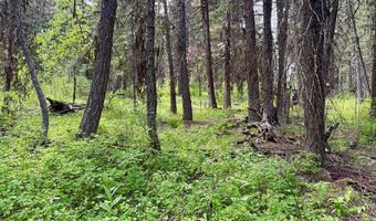 518 Susan Rd Lot 39, Cascade, ID 83611