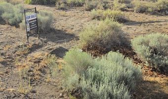 1195 Sarah Belle Ln, Fallon, NV 89406