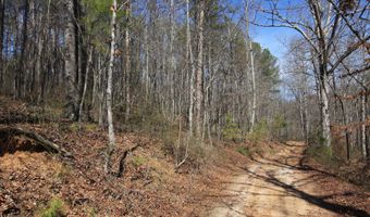 0 Stone Mtn, Tallapoosa, GA 30176
