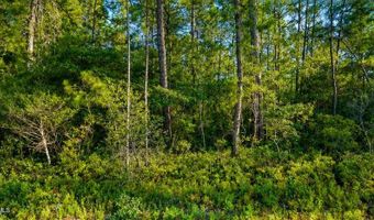 Whiteville Road NW lot 1, Ash, NC 28420