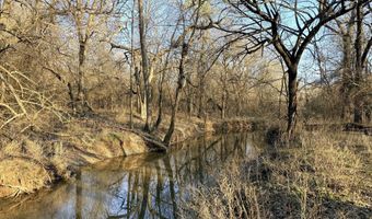 0002 CR-290, Asbury, MO 64832