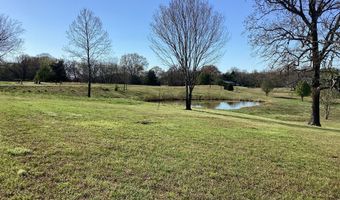 1 Poagville Rd, Coldwater, MS 38618