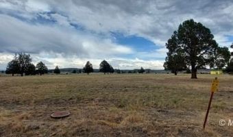 Lot 47 Blk 14 LU1B Honey View Drive, Alturas, CA 96101