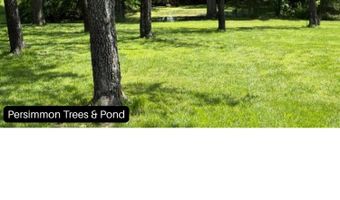 4955 S 40th Rd, Aldrich, MO 65601