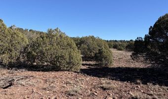 N8715, Concho, AZ 85924