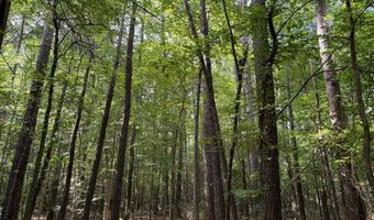SW Auburn Drive, Bogue Chitto, MS 39629