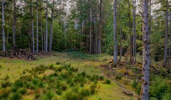 Wildwood Ln 2904, Arch Cape, OR 97102