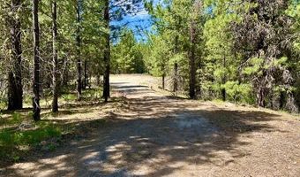 Sky Horse Drive lot 48, Cascade, ID 83611
