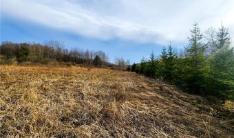 Quigg Hollow Road, Andover, NY 14806