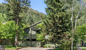 125 E Hyman Ave 1A, Aspen, CO 81611