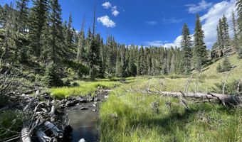 17 County Road 2114, Alpine, AZ 85920