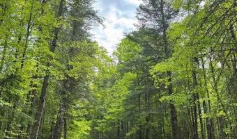 TBD W Shipley Rd, Alborn, MN 55702