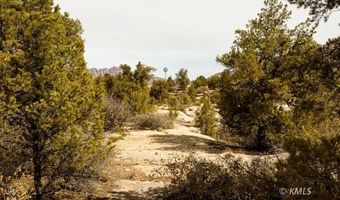 Parcel AV-1371-F, Apple Valley, UT 84737