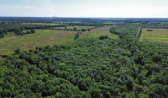 Pine Prairie Rd, Ashdown, AR 71822