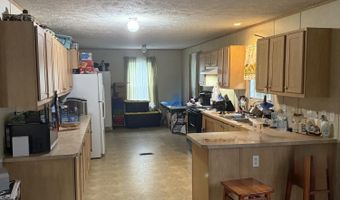 807 Collins Rd, Blaine, TN 37709