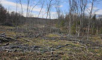 295 Shellstone Rd, Amsterdam, NY 12010