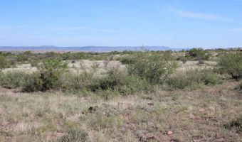 Tract 91 Sierra La Rana, Alpine, TX 79830