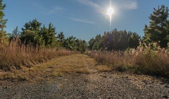 1374 E HIGHWAY 280 Lot 1374, Alexander City, AL 35010