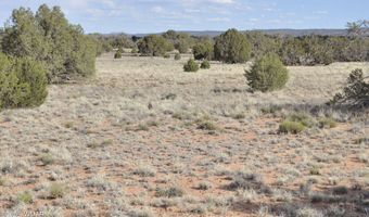 176 CR N5549, Concho, AZ 85924