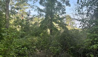 Strawhorn Creek Road lot 2 & 3, Aurora, NC 27806