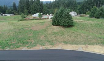 124 Norms Pkwy 1, Ariel, WA 98603