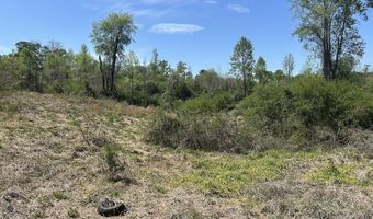 2633 Georgia Hwy 120 485.53 Acres, Tallapoosa, GA 30176