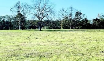 18760 Leon Wiggins Rd, Andalusia, AL 36420