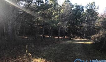 6777 Hwy 207, Anderson, AL 35610