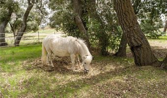 29972 Chihuahua Valley Rd, Warner Springs, CA 92086