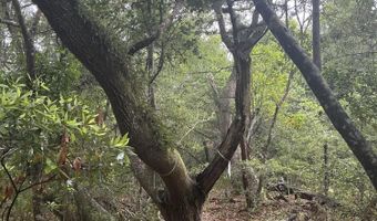 8 Leopard Frog Ct Lot 18, Bald Head Island, NC 28461