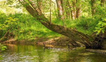 297 Wiltsie Bridge Rd, Ancramdale, NY 12503