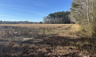 0 Bivalve Lodge Rd, Bivalve, MD 21814